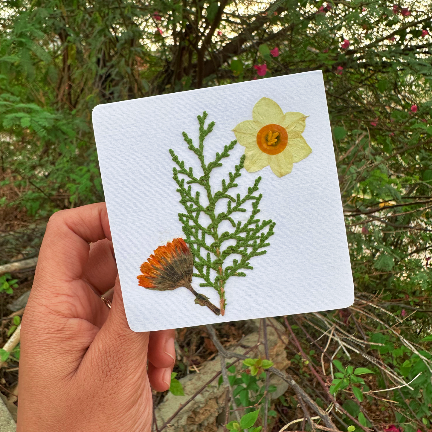 Blossom Notes (Handmade Pressed Flower Cards)