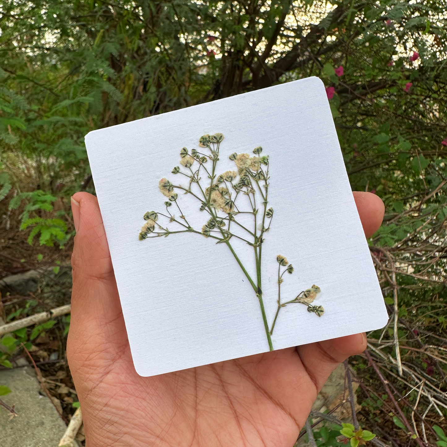 Blossom Notes (Handmade Pressed Flower Cards)