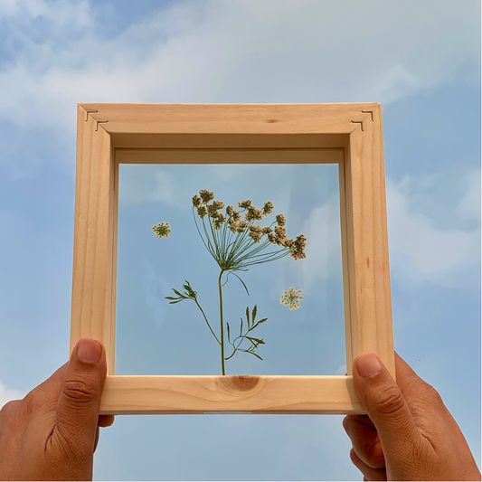 Regal Whispers - Pressed Flower Frame