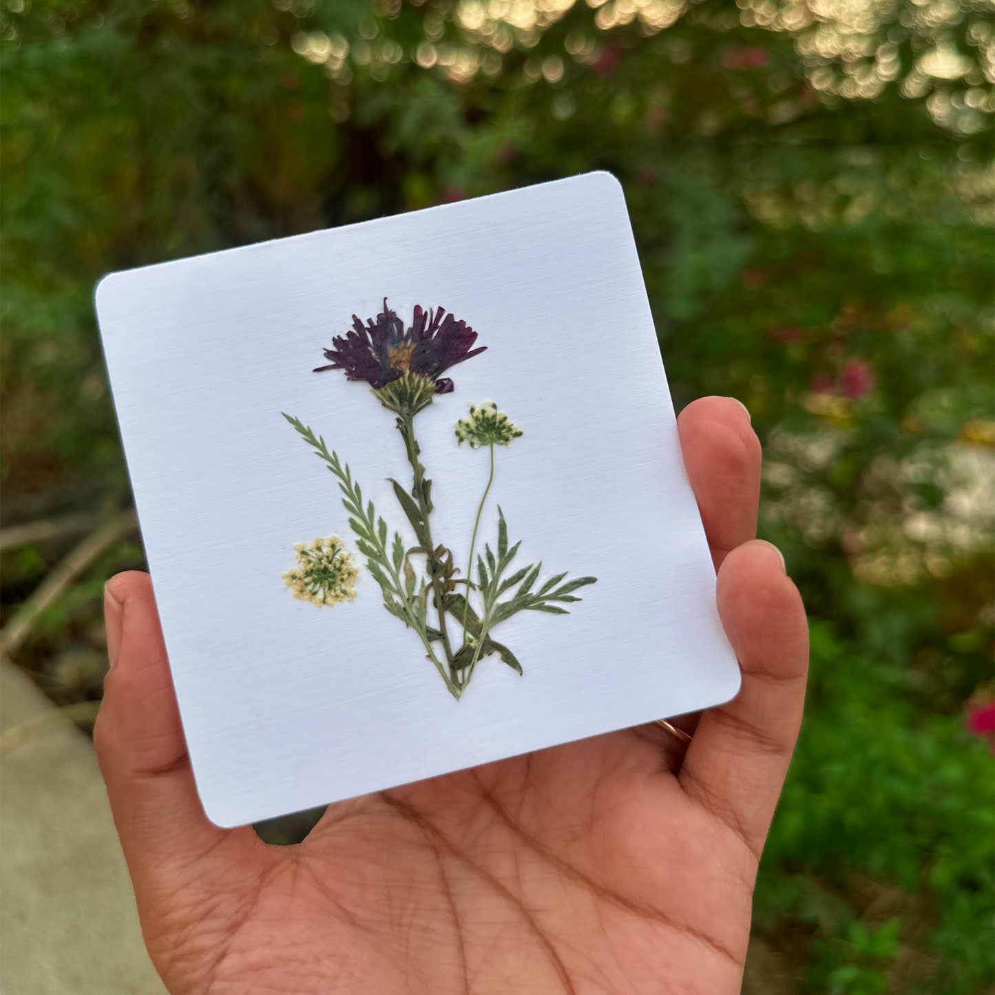 Blossom Notes (Handmade Pressed Flower Cards)