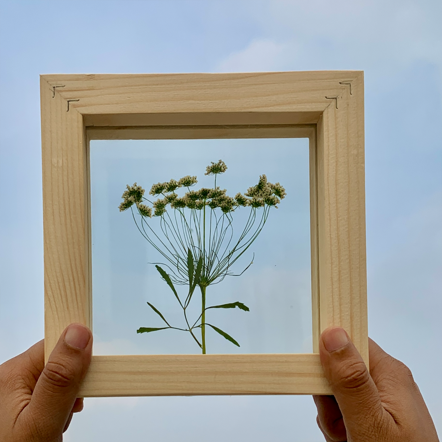 Lace Dreams - Double Glass Frame