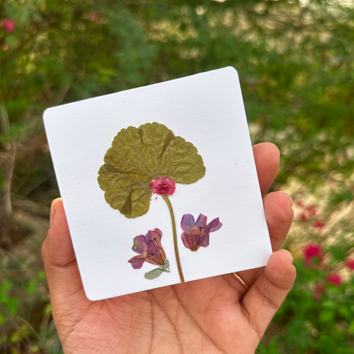 Blossom Notes (Handmade Pressed Flower Cards)