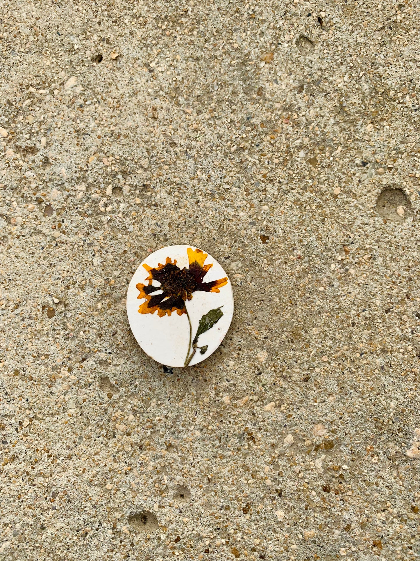 Earthy Blooms (Refrigerator Magnets)