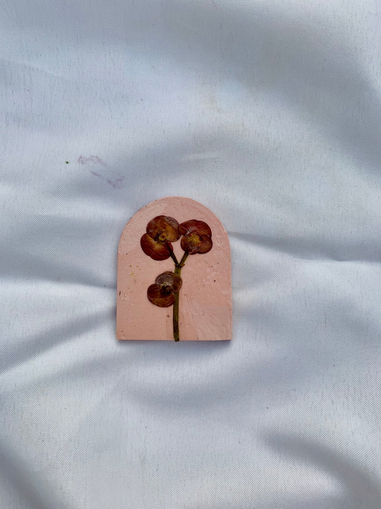 Earthy Blooms (Refrigerator Magnets)