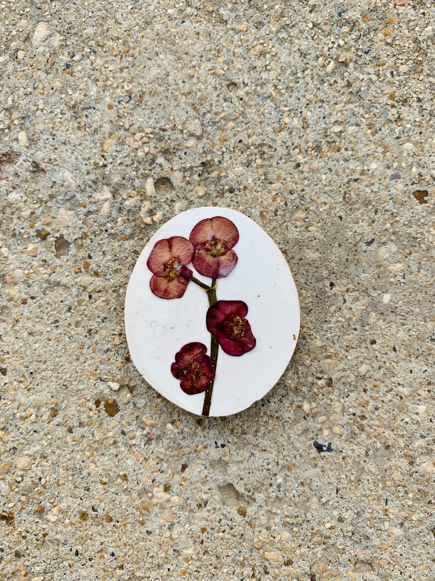 Earthy Blooms (Refrigerator Magnets)