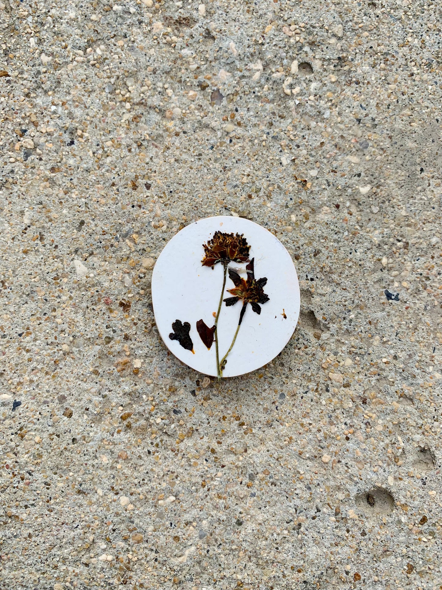 Earthy Blooms (Refrigerator Magnets)